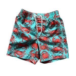 Gap, little boys swim suit, size 2